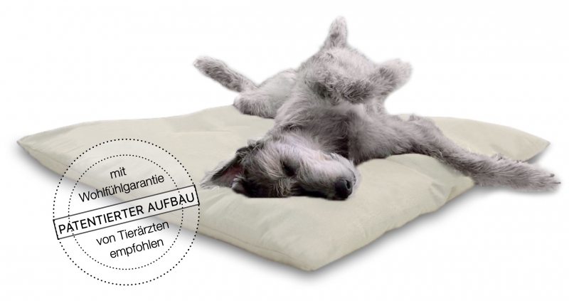 media/image/Irischer-Wolfshund-Irische-Wolfshunde-Irish-Wolfhound-tieraerzte-empfohlen-hundebett-hundebetten-hundekissen-hundekorb-hundekoerbchen-katzenkissen-katzenbett_3.jpg