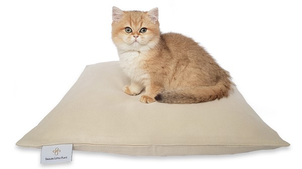 Kittenkissen S 50x50cm "für Babykatzen und kleine Katzen" DARLING LITTLE PLACE®