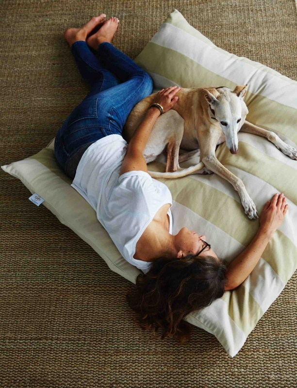 media/image/kuscheln-hund-hunde-katze-katzen-hundebett-hundebetten-hundekissen-hundekorb-hundekoerbchen-hundedecke-katzenbett-katzenkissen-katzenbetten-kratzbaum-katzenkorb-katzenkoerbchen-dar.jpg
