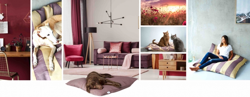 media/image/ruby-gold-hund-hunde-katze-katzen-hundebett-hundebetten-hundekissen-hundekorb-hundekoerbchen-hundedecke-katzenbett-katzenkissen-katzenbetten-kratzbaum-katzenkorb-katzenkoerbchen-da.jpg