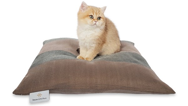 Kittenkissen S 50x50cm "für Babykatzen und kleine Katzen" DARLING LITTLE PLACE®