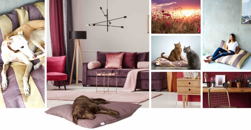 media/image/DLP-RUBY-gold-dlp-hund-hunde-katze-katzen-hundebett-hundebetten-hundekissen-hundekorb-hundekoerbchen-hundedecke-katzenbett-katzenkissen-katzenbetten-kratzbaum-katzenkorb-katzenkoer.jpg