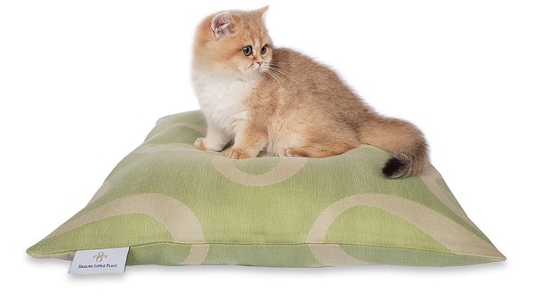 Kittenkissen S 50x50cm "für Babykatzen und kleine Katzen" DARLING LITTLE PLACE®