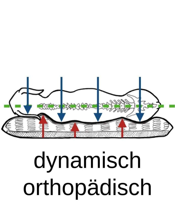 media/image/druckentlastend-stuetzend-randlos-dynamisch-orthopaedisch-orthopaedisches-ergonomisch-hundebett-hundebetten-hundekissen-hundekorb-hundekoerbchen-katzenbett-katzenkissen.jpg