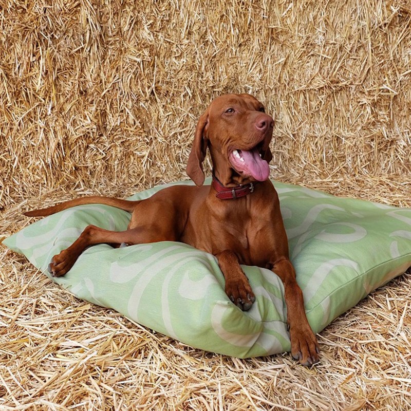 Hundekissen waschbar