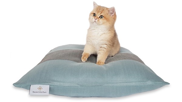 Kittenkissen S 50x50cm "für Babykatzen und kleine Katzen" DARLING LITTLE PLACE®