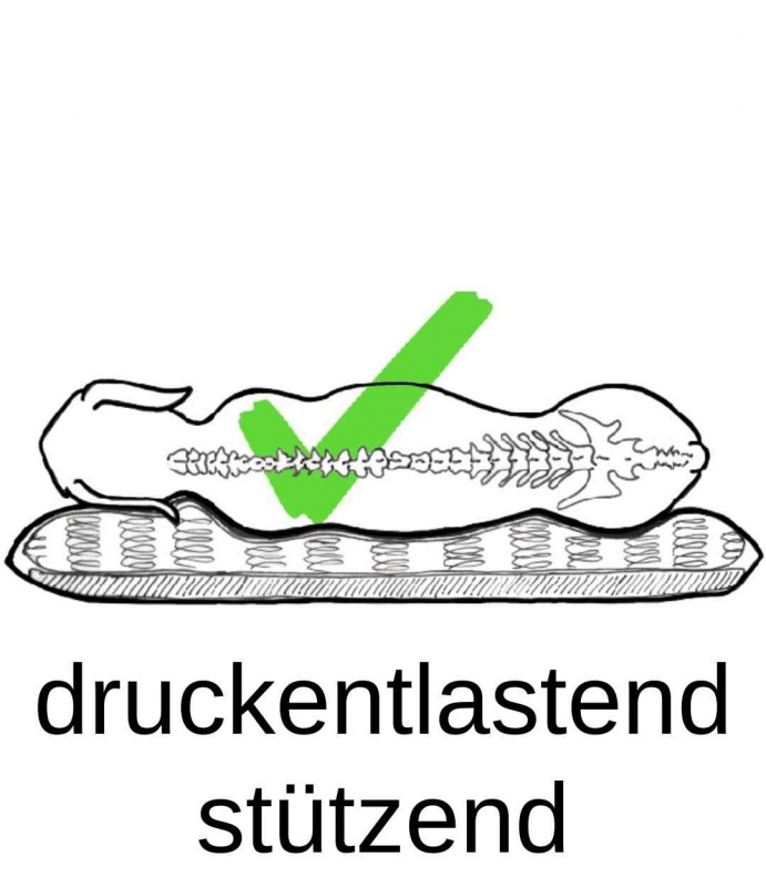 media/image/druckentlastend-stuetzend-dynamisch-orthopaedisch-orthopaedisches-ergonomisch-hundebett-hundebetten-hundekissen-hundekorb-hundekoerbchen-katzenbett-katzenkissen.jpg