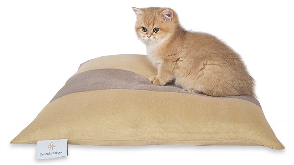 Kittenkissen S 50x50cm "für Babykatzen und kleine Katzen" DARLING LITTLE PLACE®