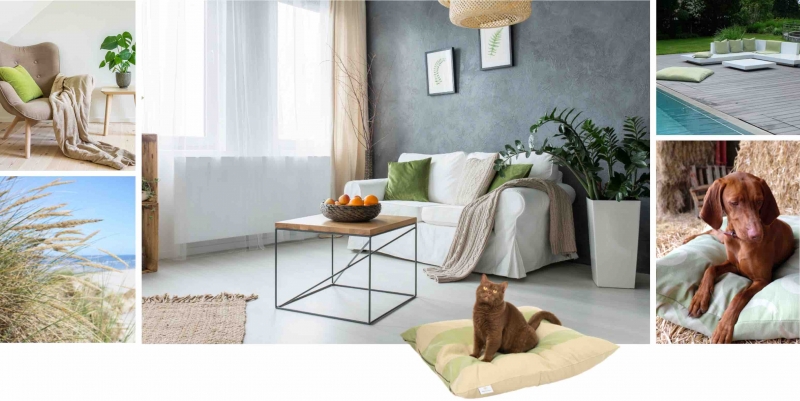media/image/dlp-grass-sand-hund-hunde-katze-katzen-hundebett-hundebetten-hundekissen-hundekorb-hundekoerbchen-hundedecke-katzenbett-katzenkissen-katzenbetten-kratzbaum-katzenkorb-katzenkoerbch.jpg