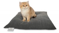 Kittenkissen S 50x50cm "für Babykatzen und kleine Katzen" DARLING LITTLE PLACE® 50x50cm LAVA SOLID