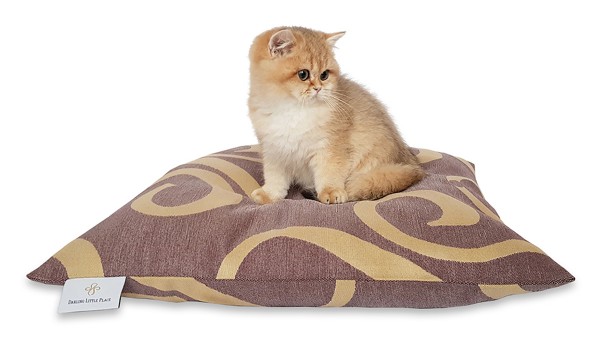 Kittenkissen S 50x50cm "für Babykatzen und kleine Katzen" DARLING LITTLE PLACE®