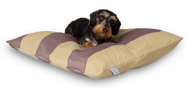 Hundebett M 80x80cm "für kleine Hunde" DARLING LITTLE PLACE®