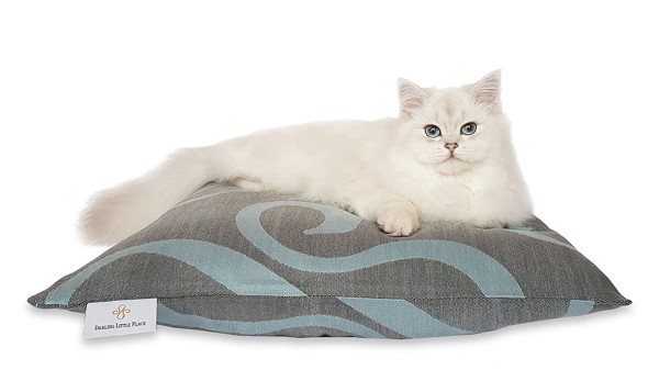 Kittenkissen S 50x50cm "für Babykatzen und kleine Katzen" DARLING LITTLE PLACE®